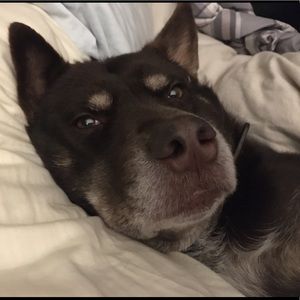 Meet your Posher, Aaron